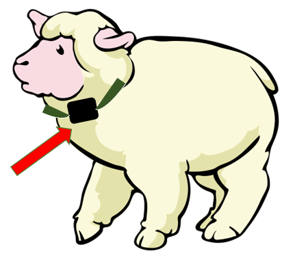 Device placed on the neck of the sheep. (Author: LadyofHats. Source: Wikipedia (CC0 1.0)).