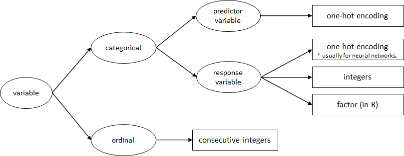 Variable conversion guidelines.