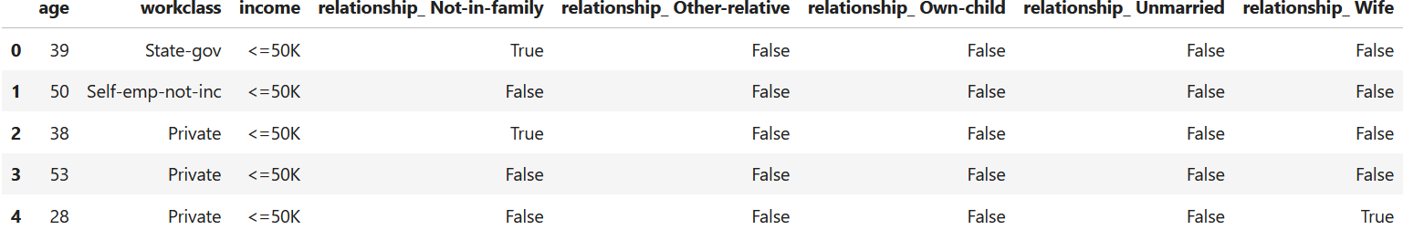 INCOME dataset after one-hot-encoding the relationship varable.