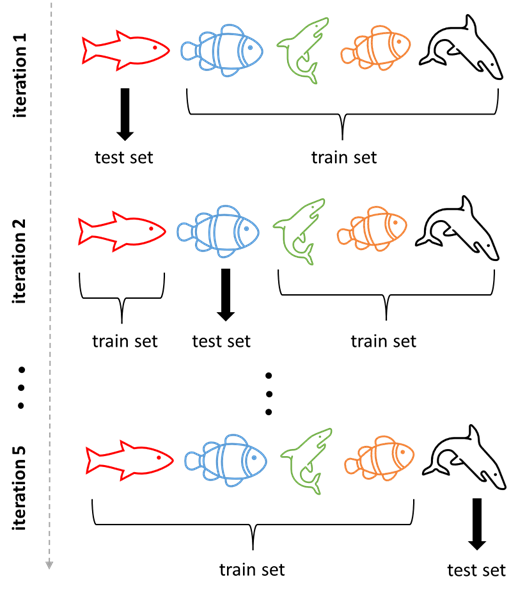Procedure of the leave-one-user-out validation scheme. At each iteration, the data from a particular user is exclusively included in the test set and the rest is added to the train set. Each fish represents all of its instances (not necessarily only one data point).