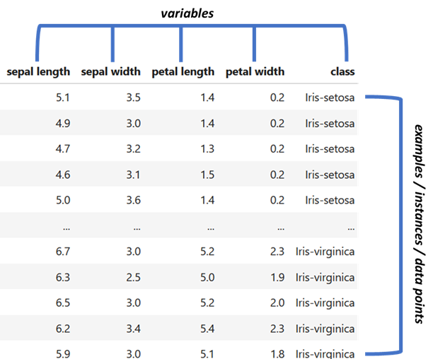 First rows of the IRIS dataset.